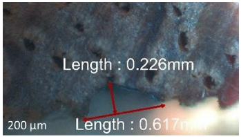 Jmmp 09 00054 i004 Jmmp 09 00054 i004