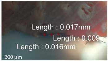 Jmmp 09 00054 i005 Jmmp 09 00054 i005