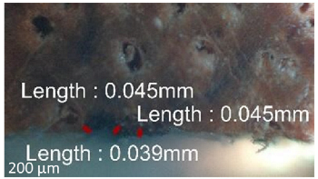 Jmmp 09 00054 i015 Jmmp 09 00054 i015