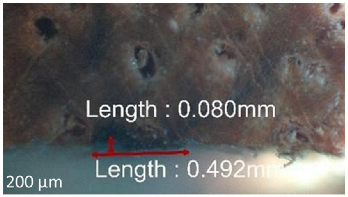 Jmmp 09 00054 i016 Jmmp 09 00054 i016