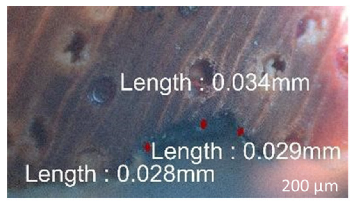 Jmmp 09 00054 i019 Jmmp 09 00054 i019