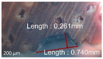 Jmmp 09 00054 i020 Jmmp 09 00054 i020