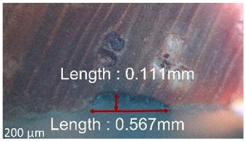 Jmmp 09 00054 i024 Jmmp 09 00054 i024