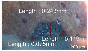 Jmmp 09 00054 i025 Jmmp 09 00054 i025