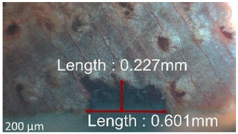 Jmmp 09 00054 i028 Jmmp 09 00054 i028