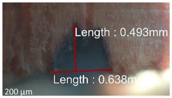 Jmmp 09 00054 i044 Jmmp 09 00054 i044