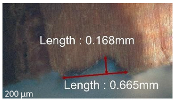 Jmmp 09 00054 i048 Jmmp 09 00054 i048