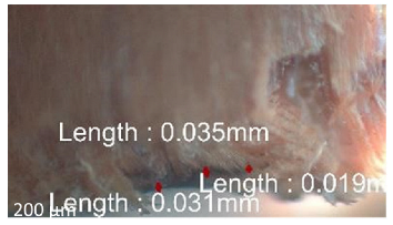 Jmmp 09 00054 i053 Jmmp 09 00054 i053