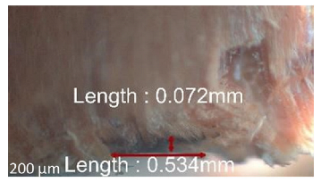 Jmmp 09 00054 i054 Jmmp 09 00054 i054