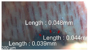 Jmmp 09 00054 i055 Jmmp 09 00054 i055