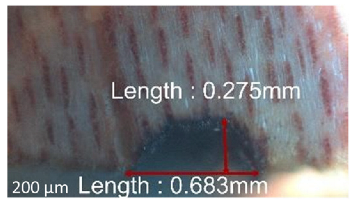 Jmmp 09 00054 i056 Jmmp 09 00054 i056