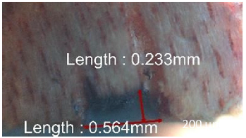 Jmmp 09 00054 i058 Jmmp 09 00054 i058