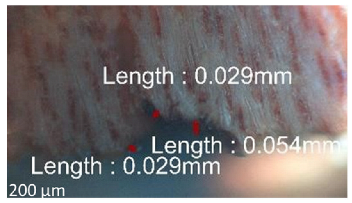 Jmmp 09 00054 i059 Jmmp 09 00054 i059