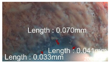 Jmmp 09 00054 i061 Jmmp 09 00054 i061