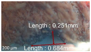 Jmmp 09 00054 i062 Jmmp 09 00054 i062