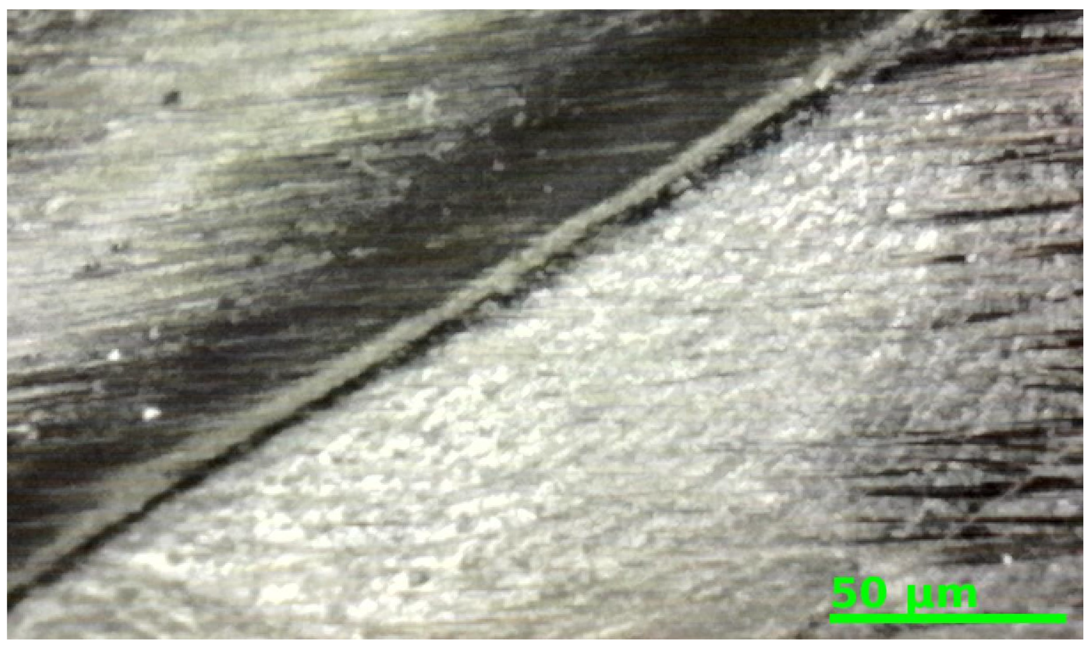 Jmmp 09 00195 g013