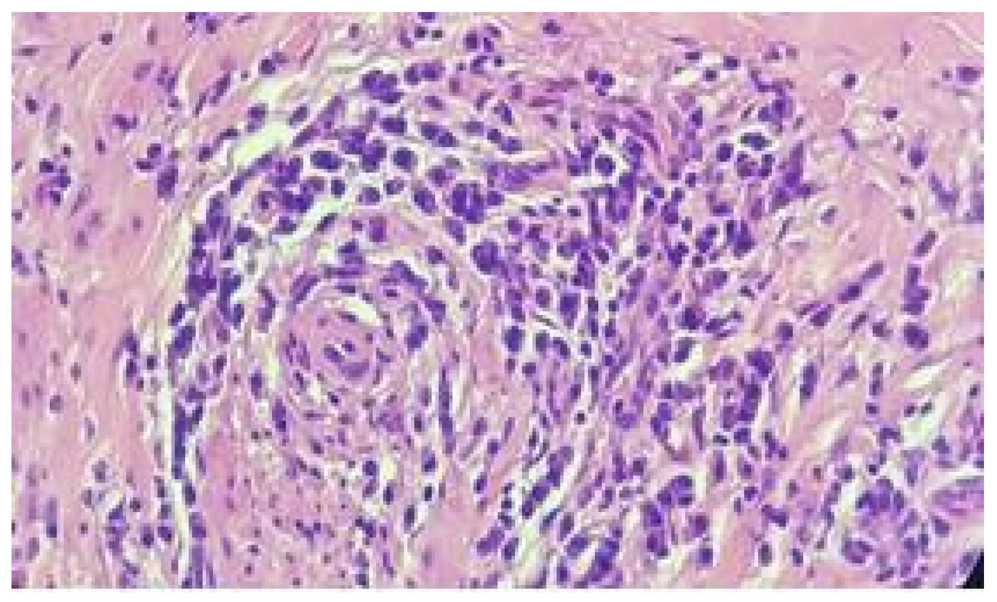 Jmms 06 00021 g007 Jmms 06 00021 g007