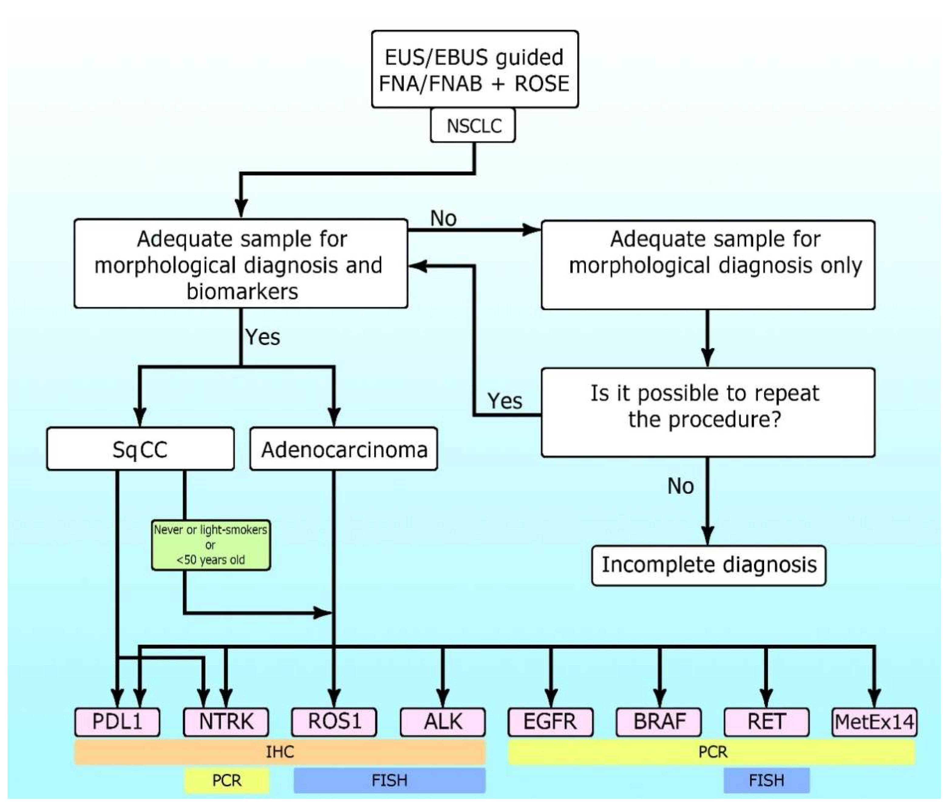 Jmp 02 00006 g001 Jmp 02 00006 g001
