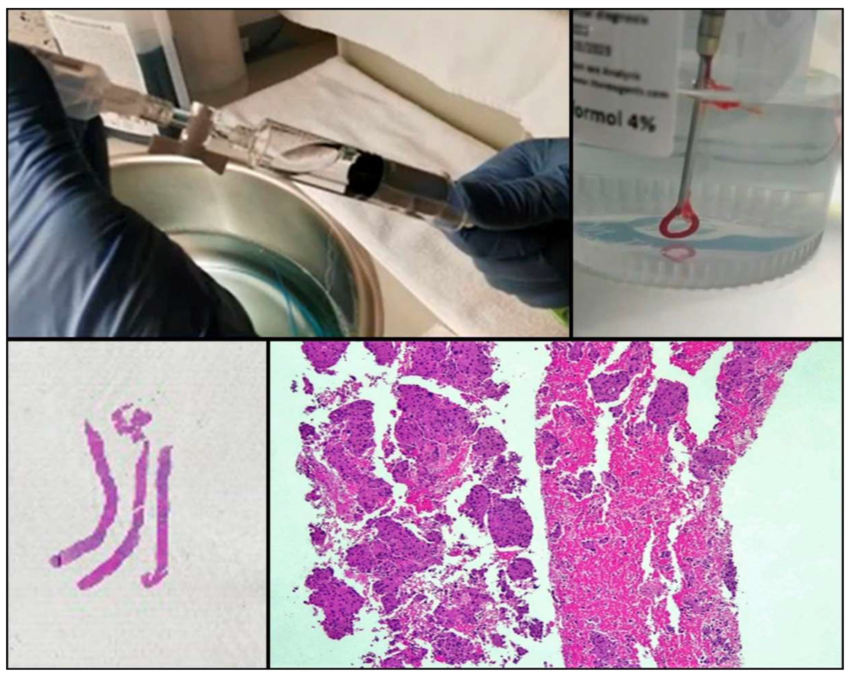 Jmp 02 00006 g002 Jmp 02 00006 g002