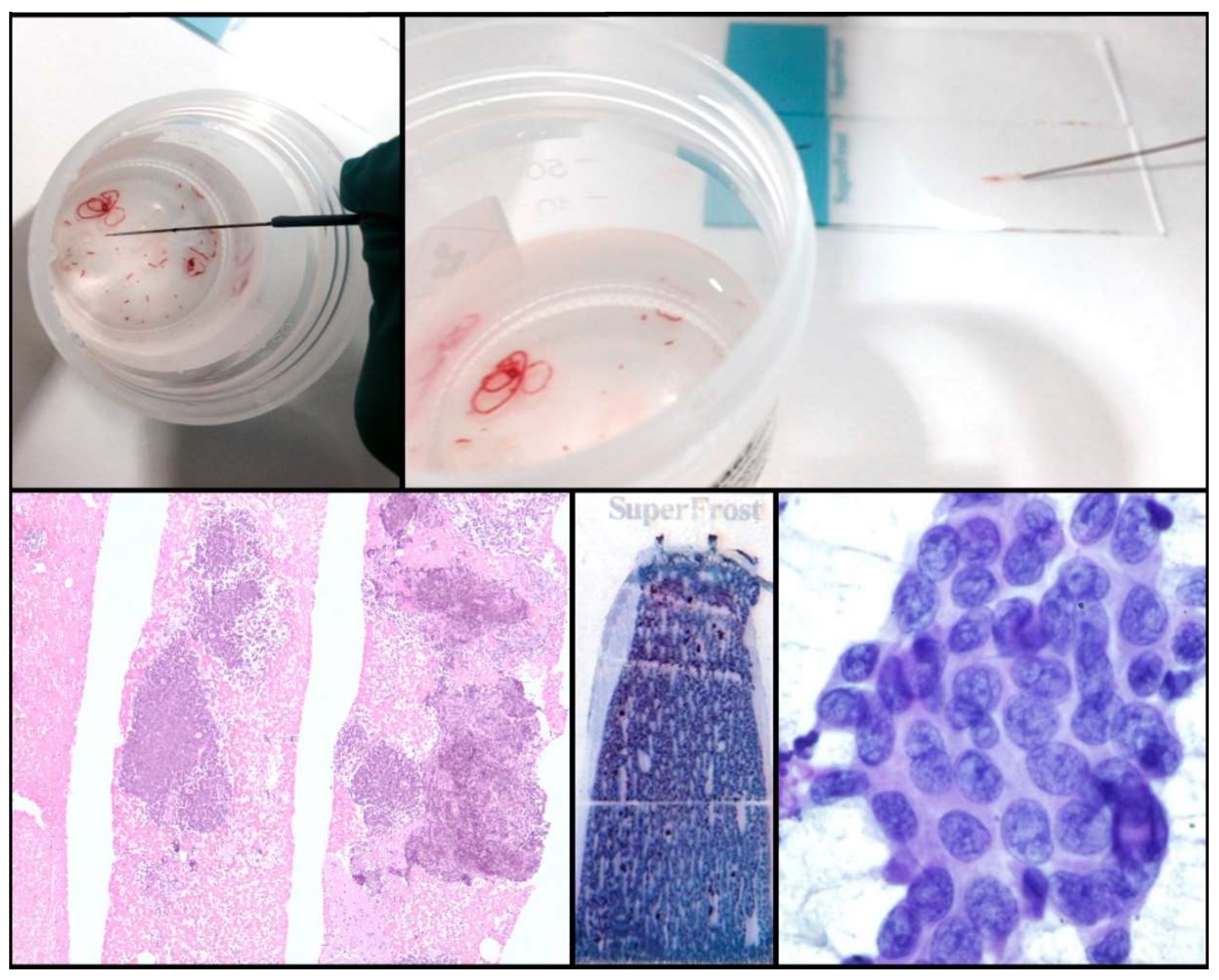 Jmp 02 00006 g003 Jmp 02 00006 g003