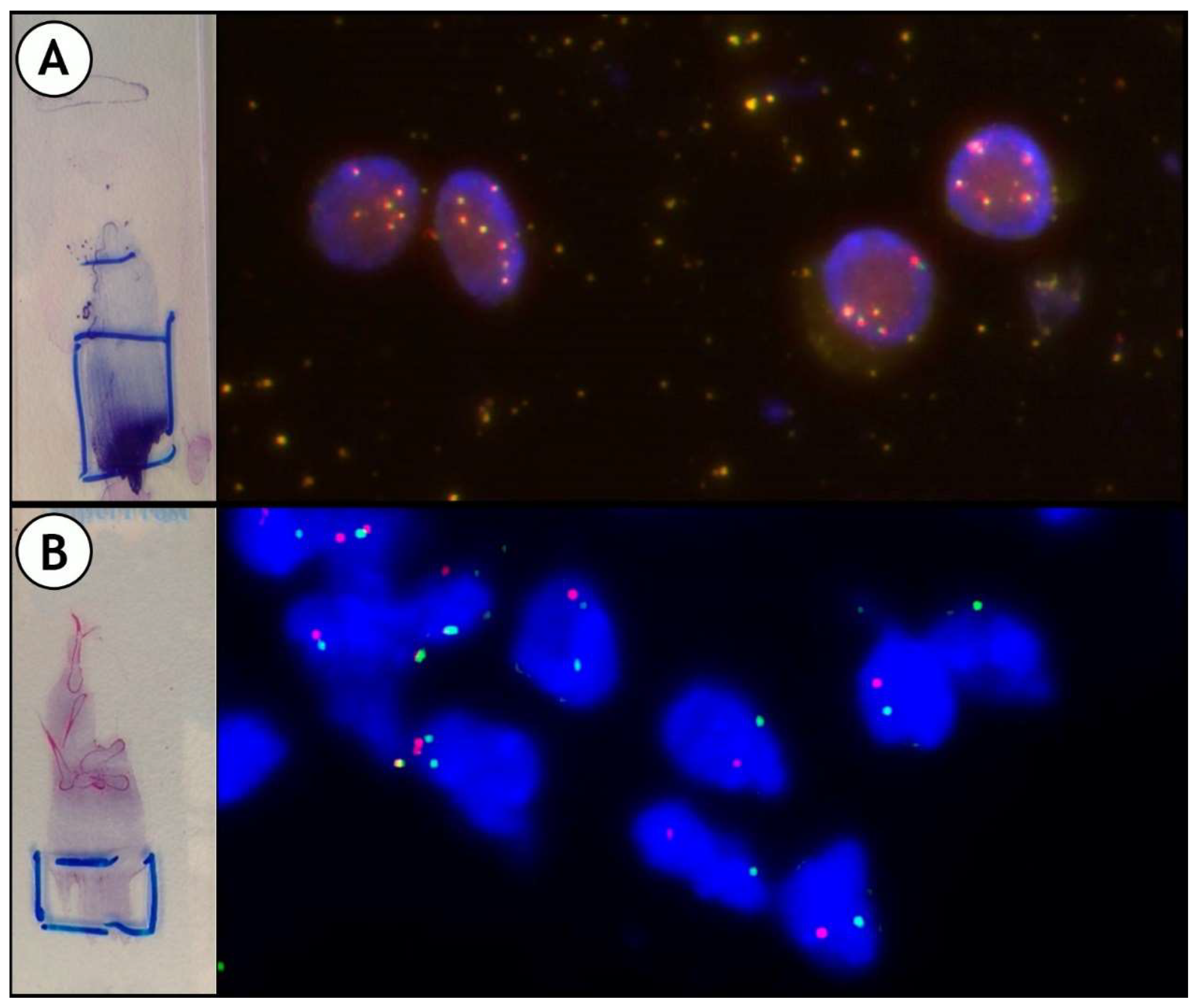 Jmp 02 00006 g007 Jmp 02 00006 g007