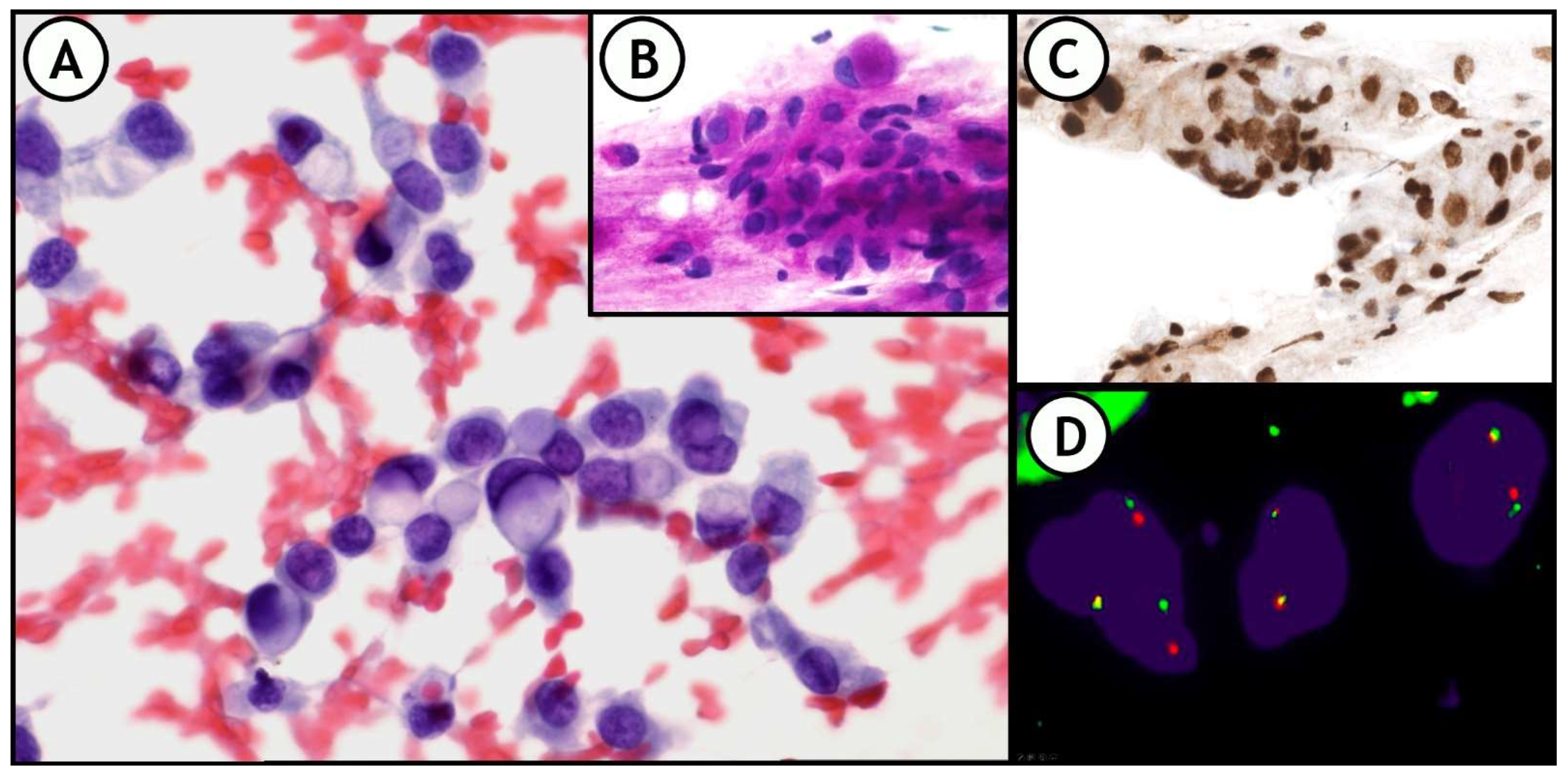 Jmp 02 00006 g008 Jmp 02 00006 g008