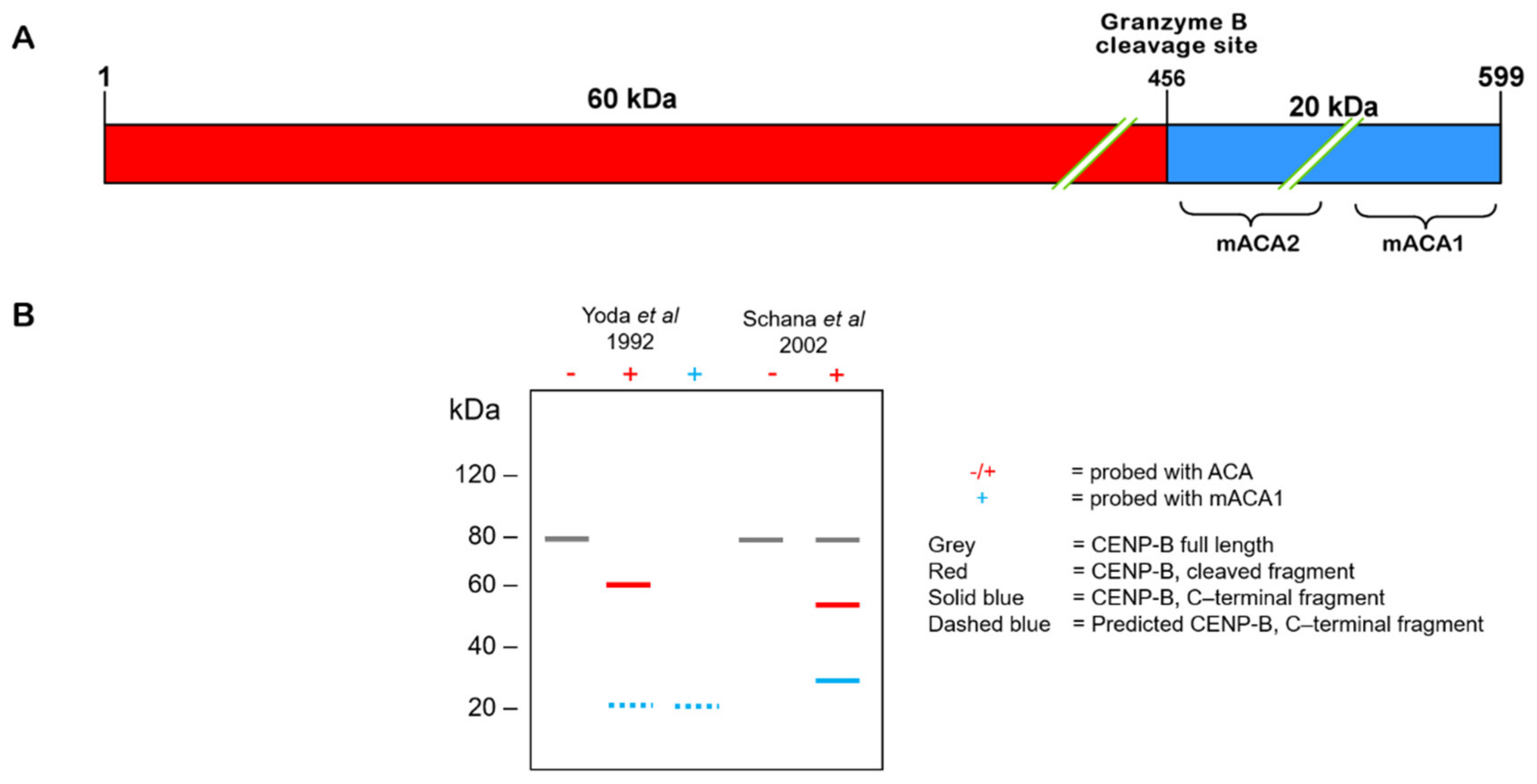 Jmp 02 00024 g002 Jmp 02 00024 g002