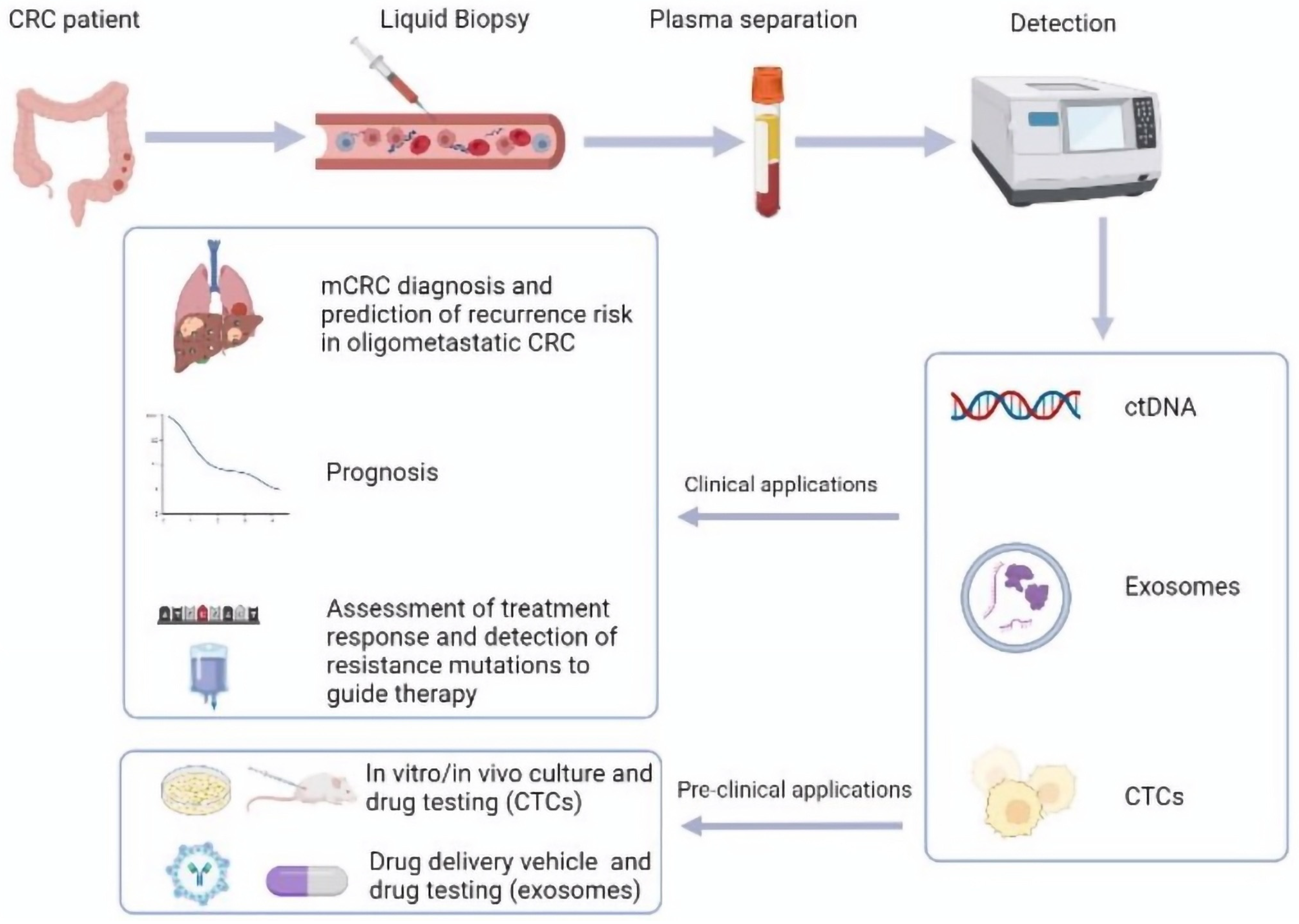 Jmp 04 00013 g001 Jmp 04 00013 g001
