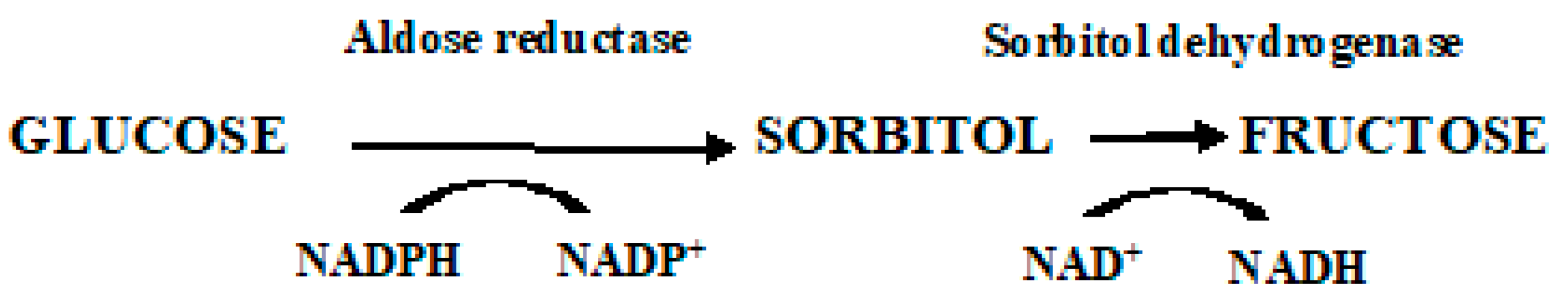 Jmp 05 00007 sch001 Jmp 05 00007 sch001