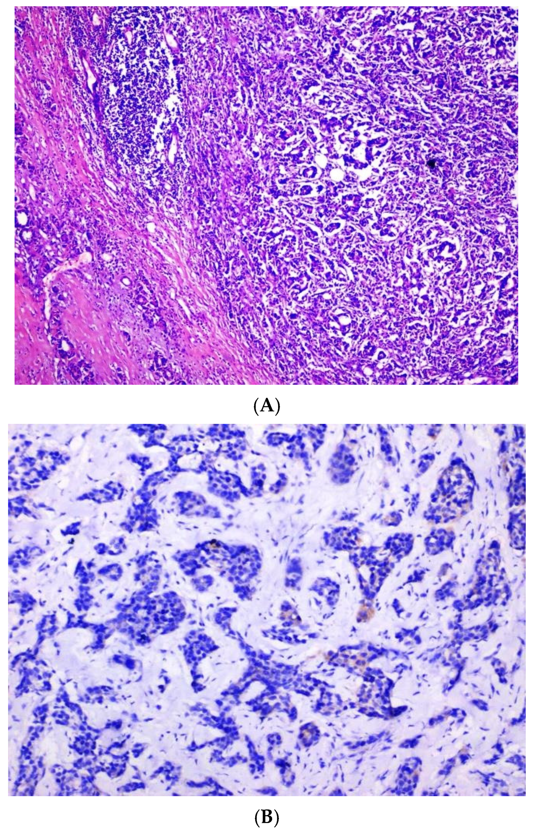 Jmp 06 00027 g001a Jmp 06 00027 g001a