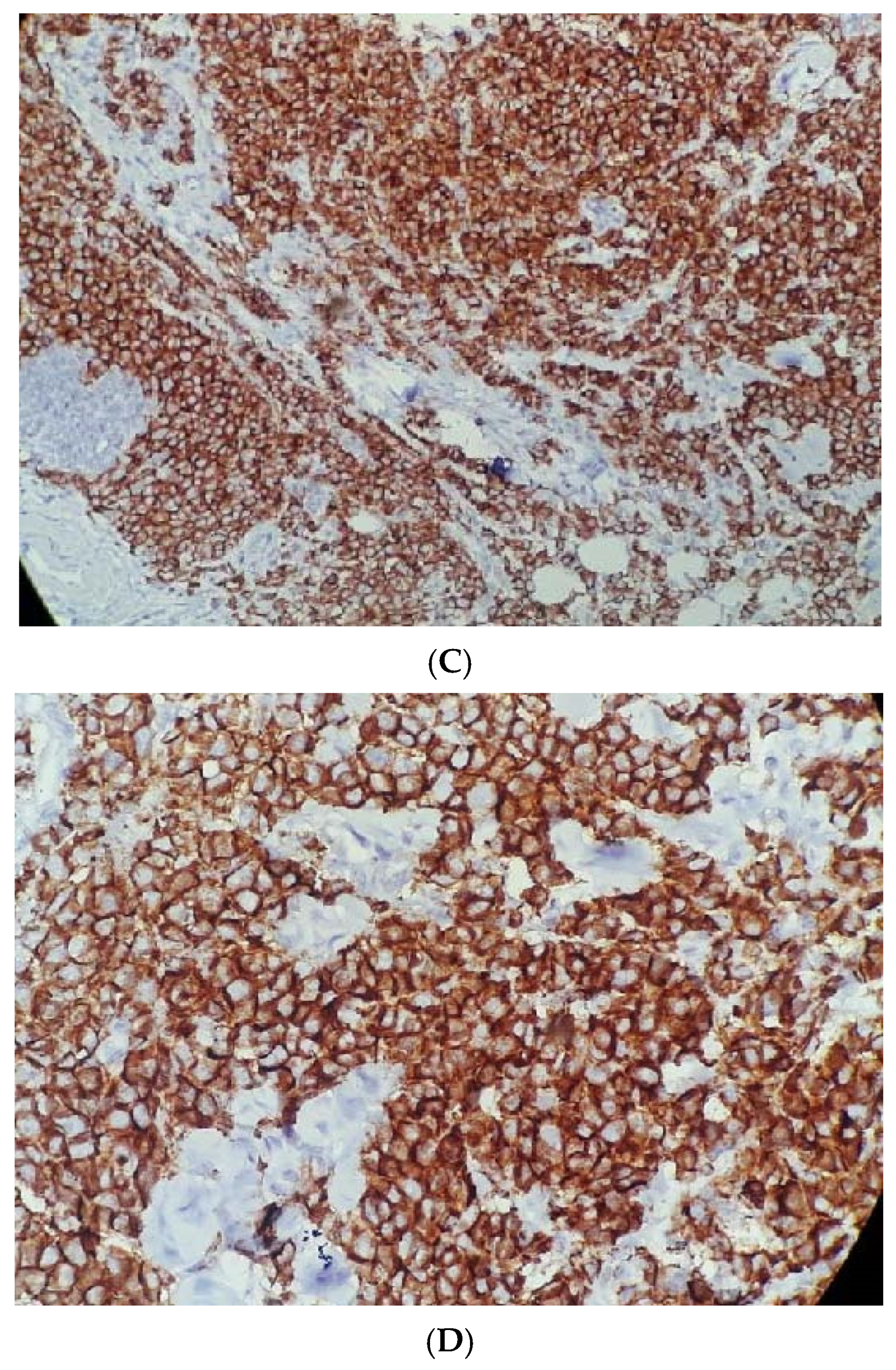 Jmp 06 00027 g001b Jmp 06 00027 g001b