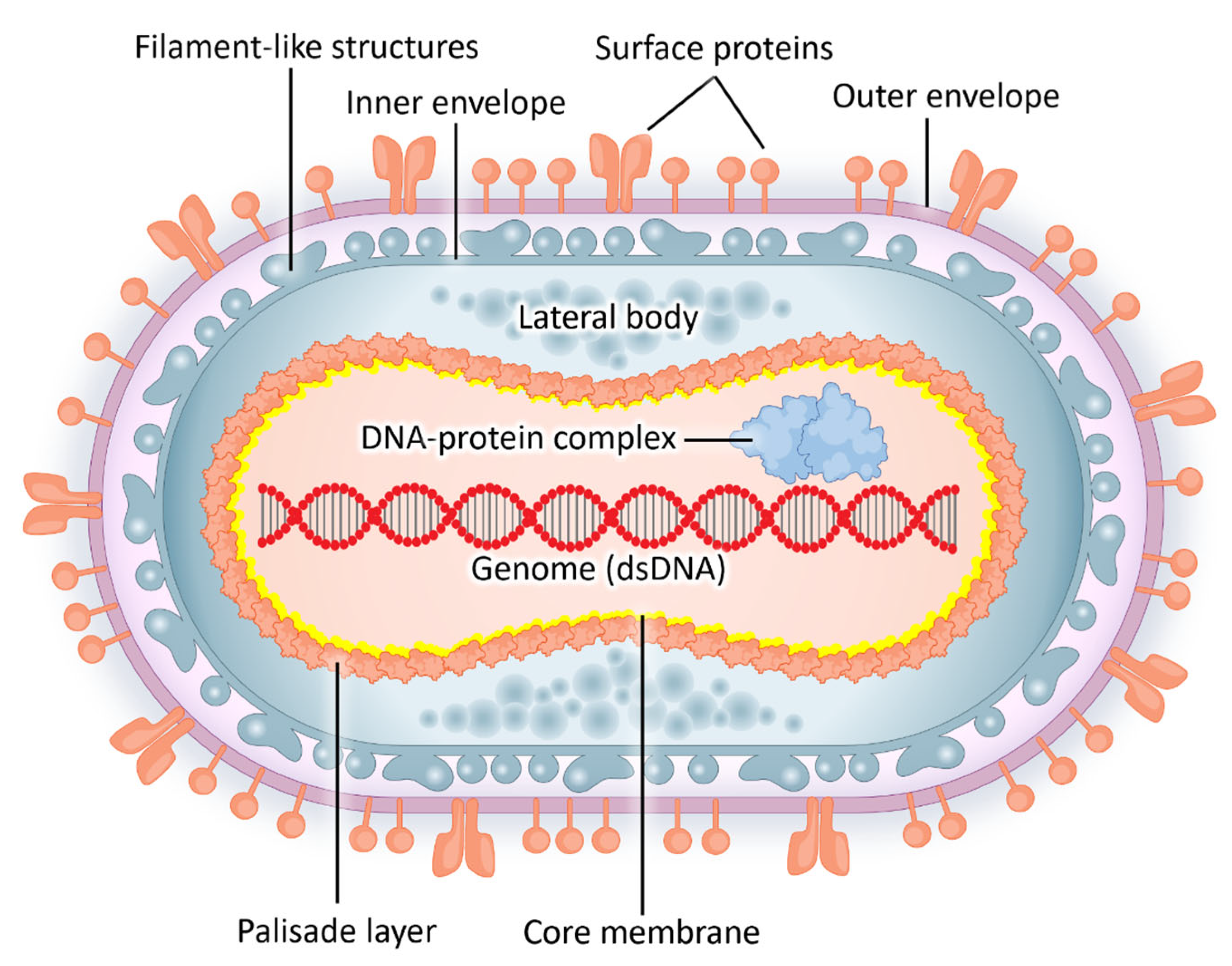 Jmp 06 00029 g001 Jmp 06 00029 g001
