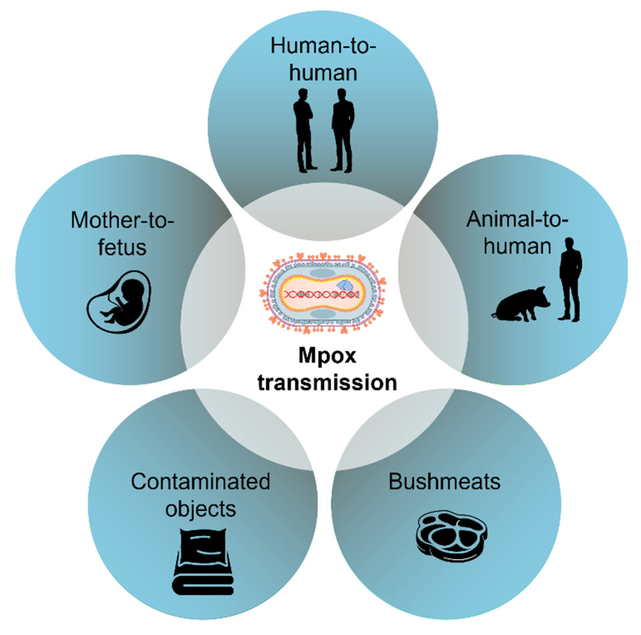 Jmp 06 00029 g003 Jmp 06 00029 g003