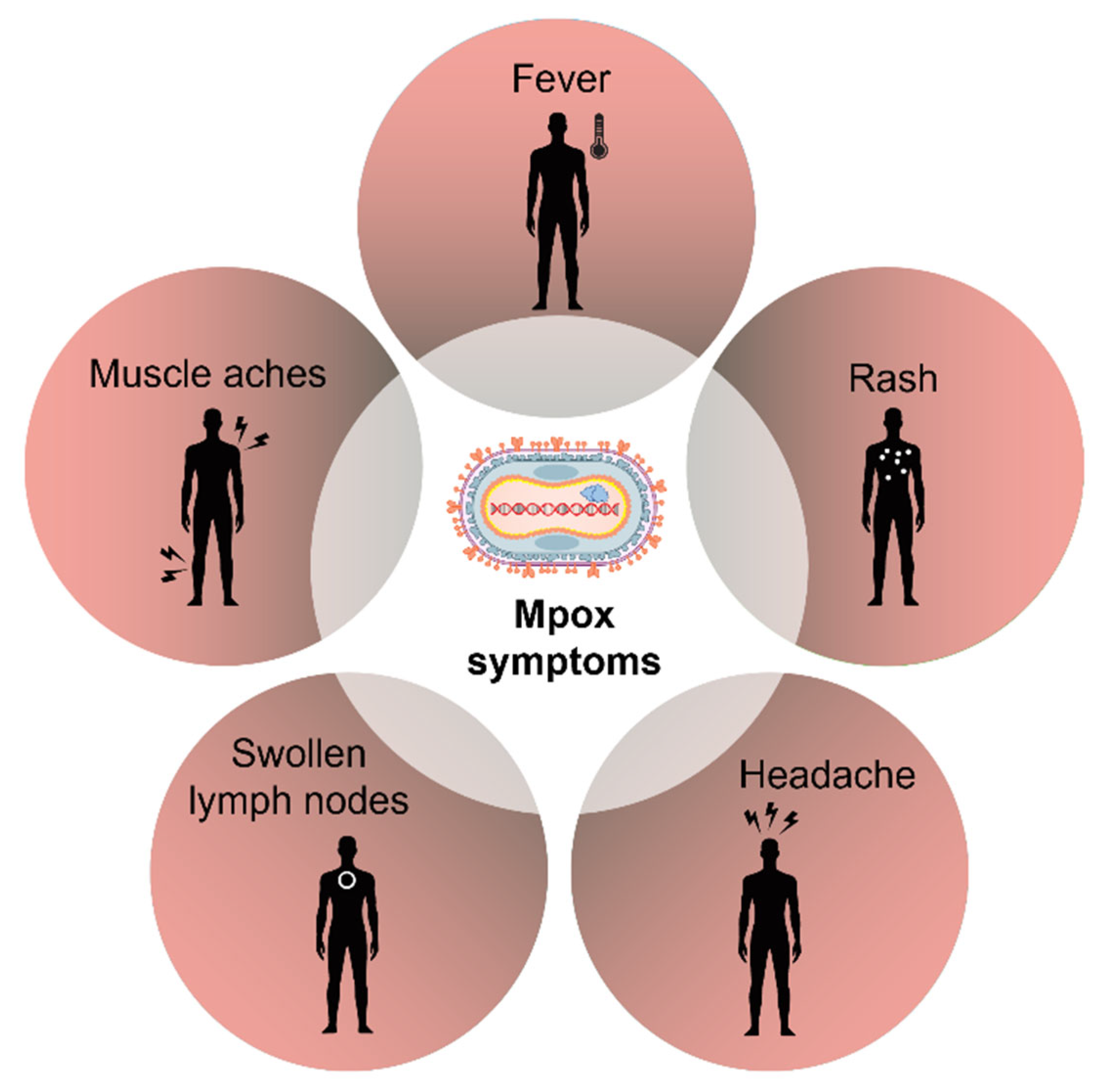 Jmp 06 00029 g004 Jmp 06 00029 g004