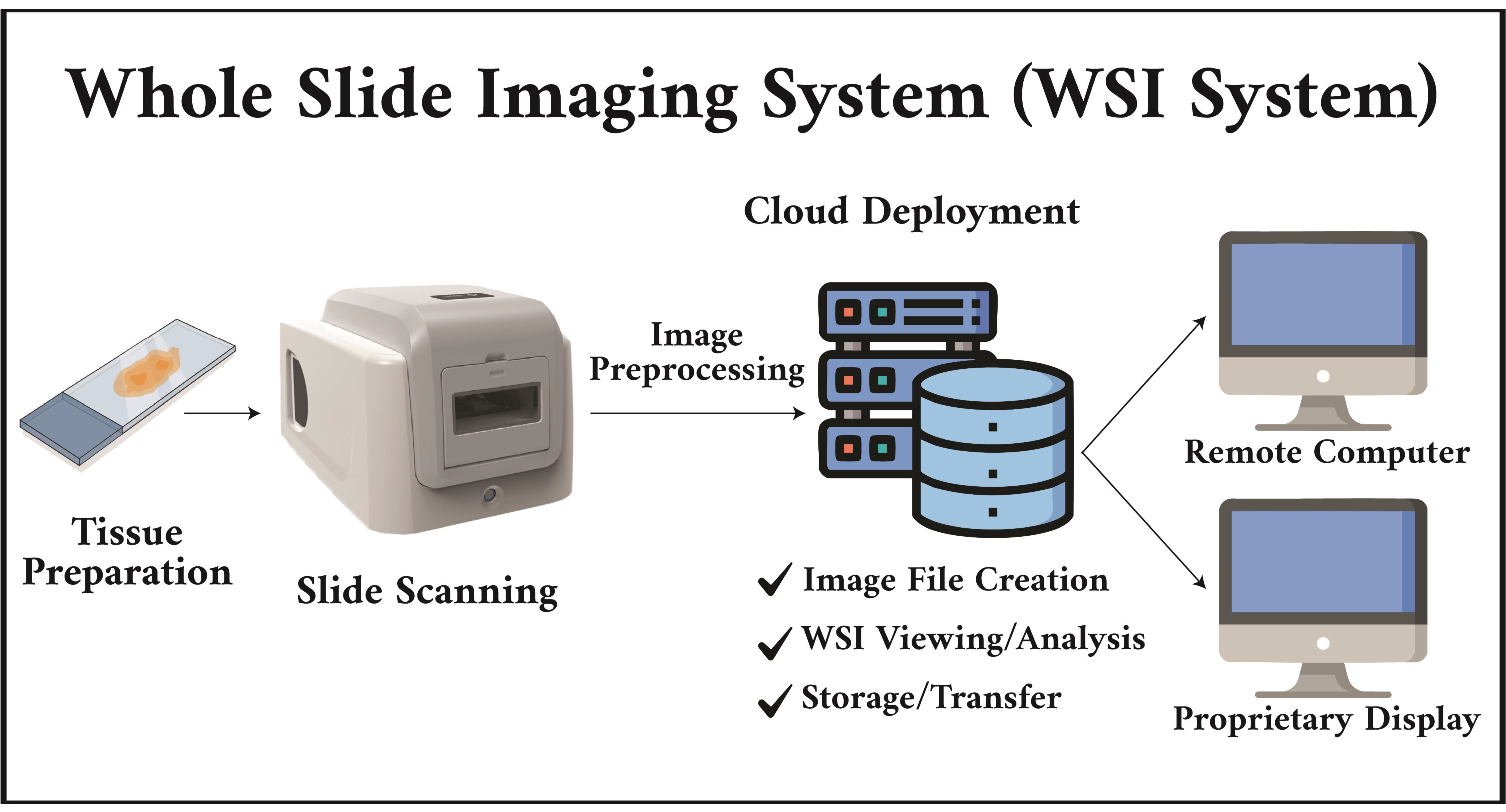 Jmp 07 00002 g003 Jmp 07 00002 g003