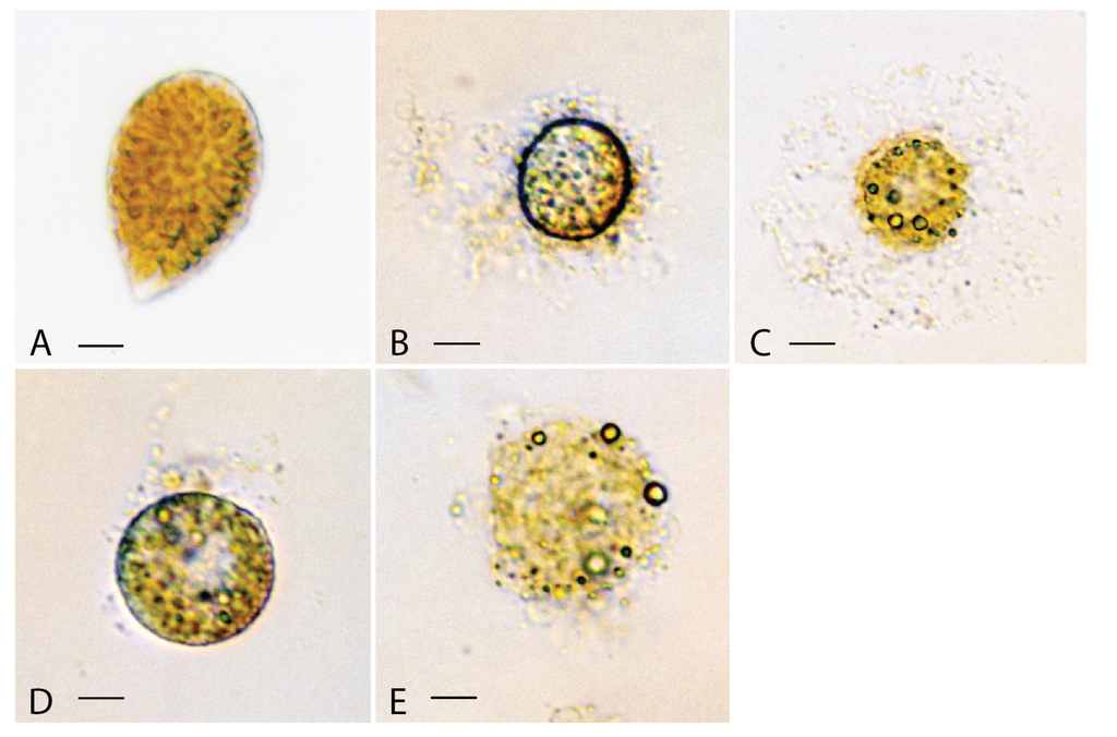 Jmse 03 00401 g003 1024