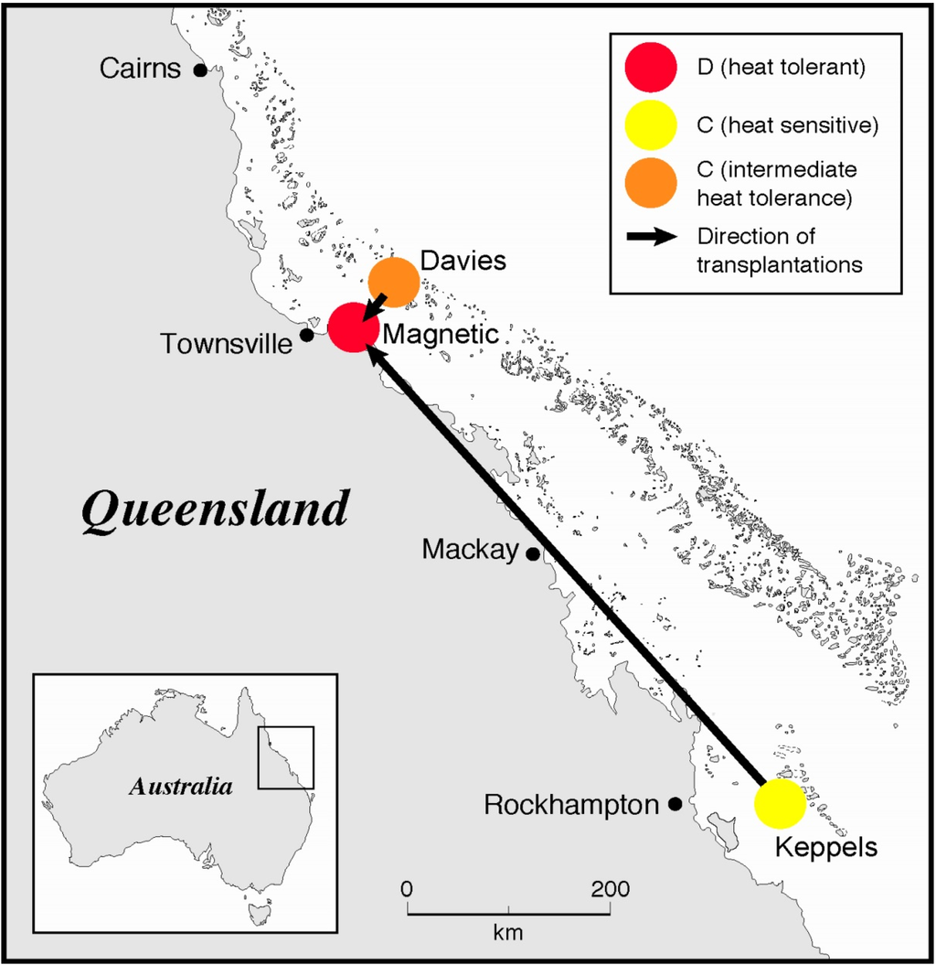 Jmse 03 00444 g001 1024