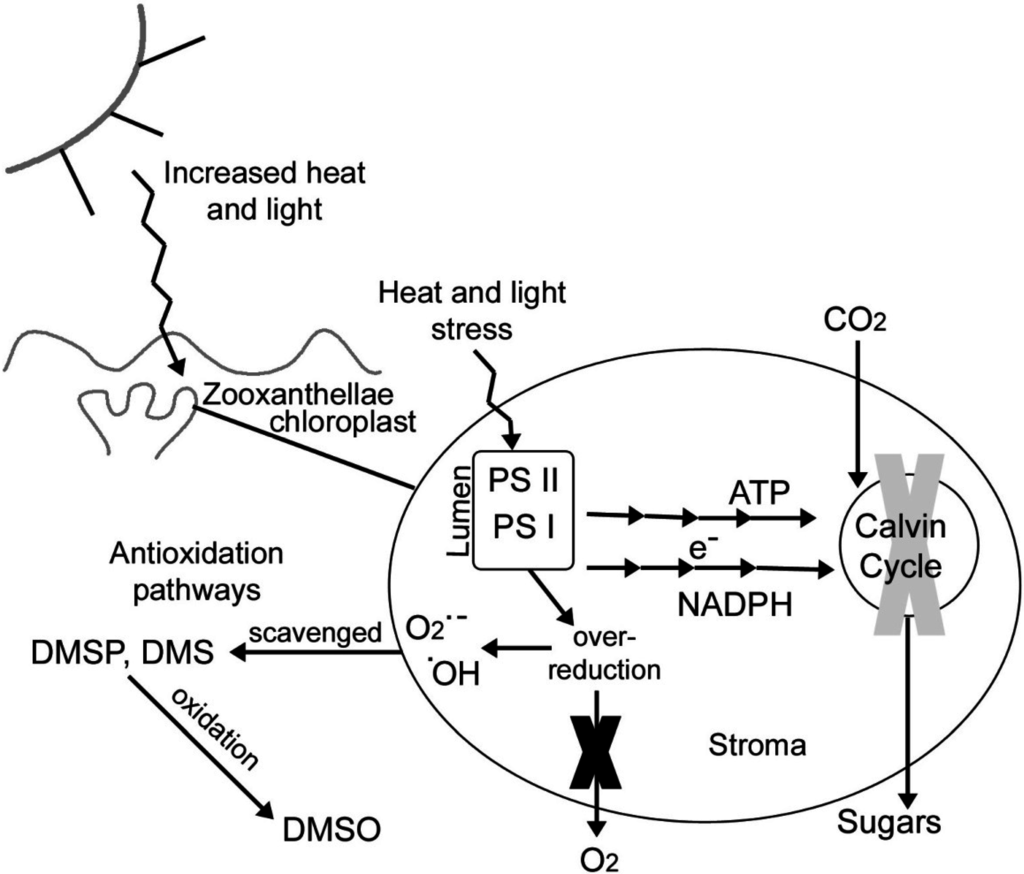Jmse 03 00444 g006 1024