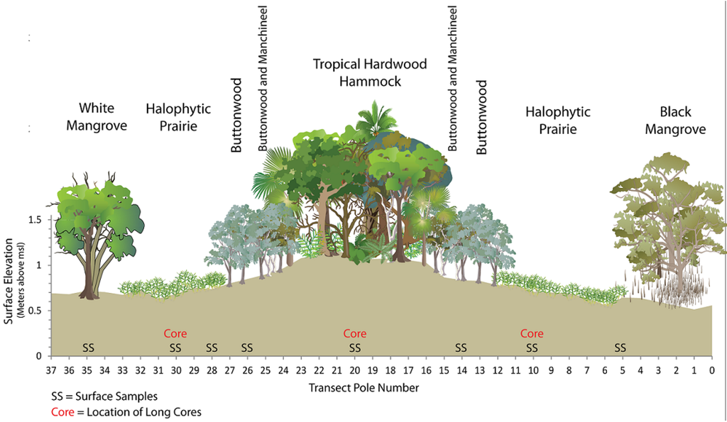 Jmse 03 01149 g003 1024
