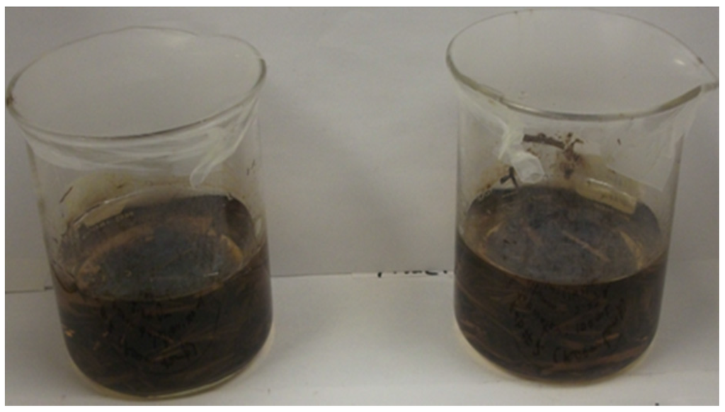 Jmse 03 01244 g007 1024