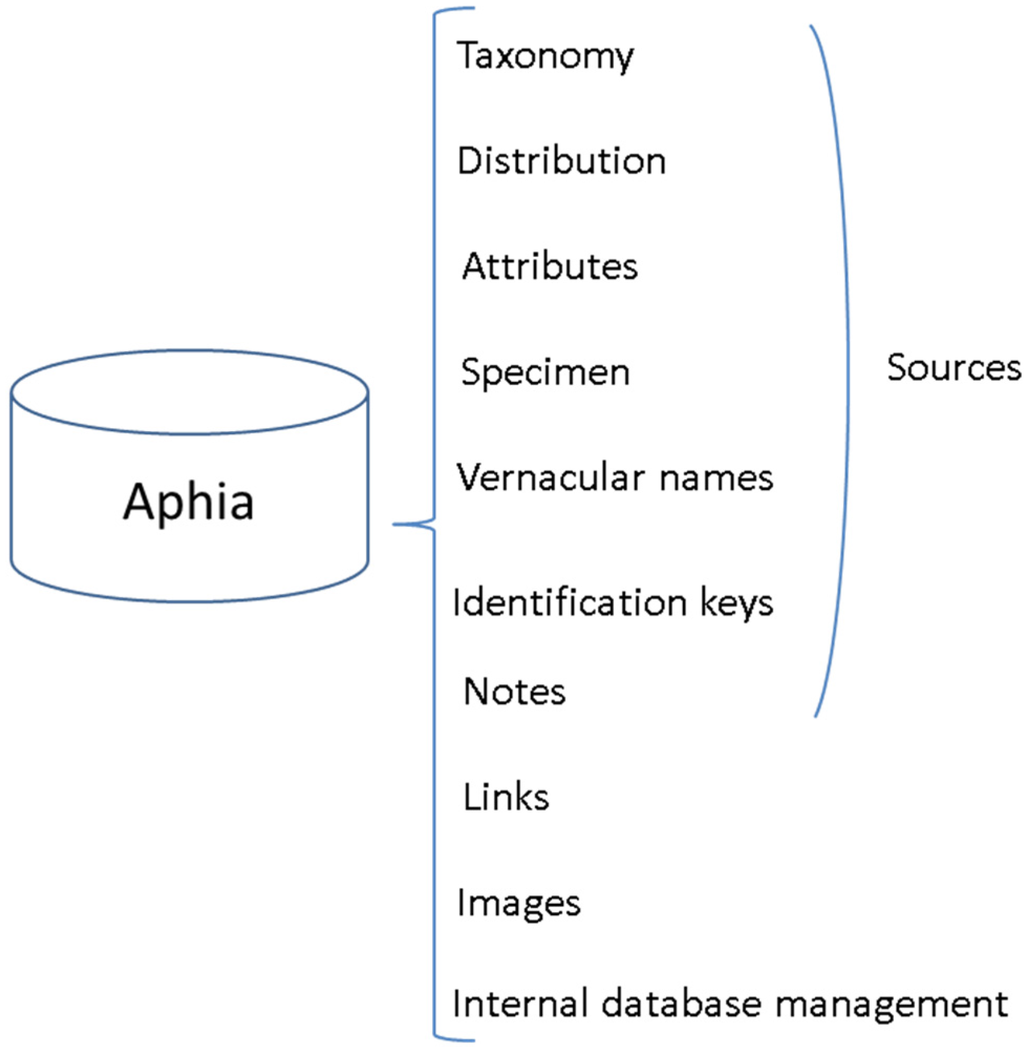 Jmse 03 01448 g001 1024