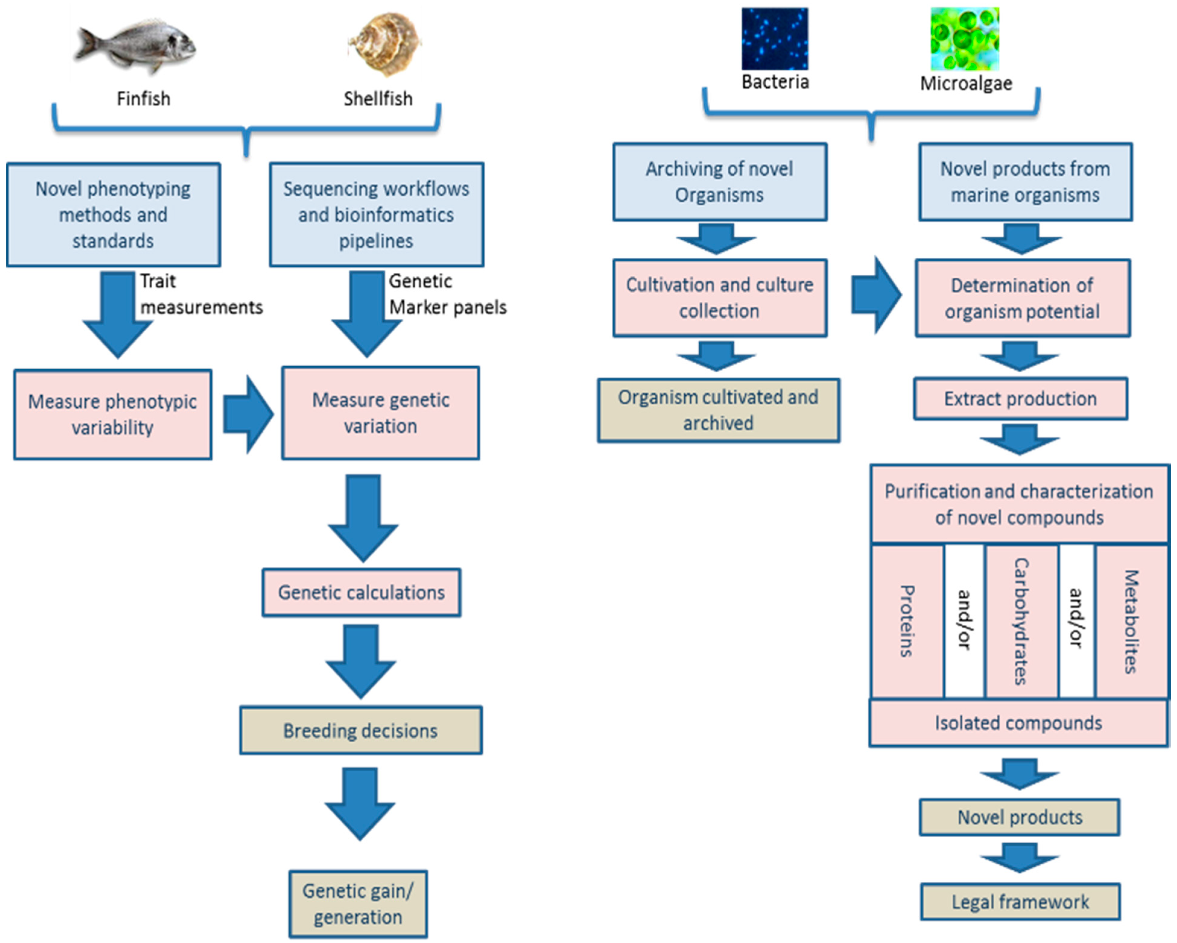 Jmse 06 00081 g001 Jmse 06 00081 g001