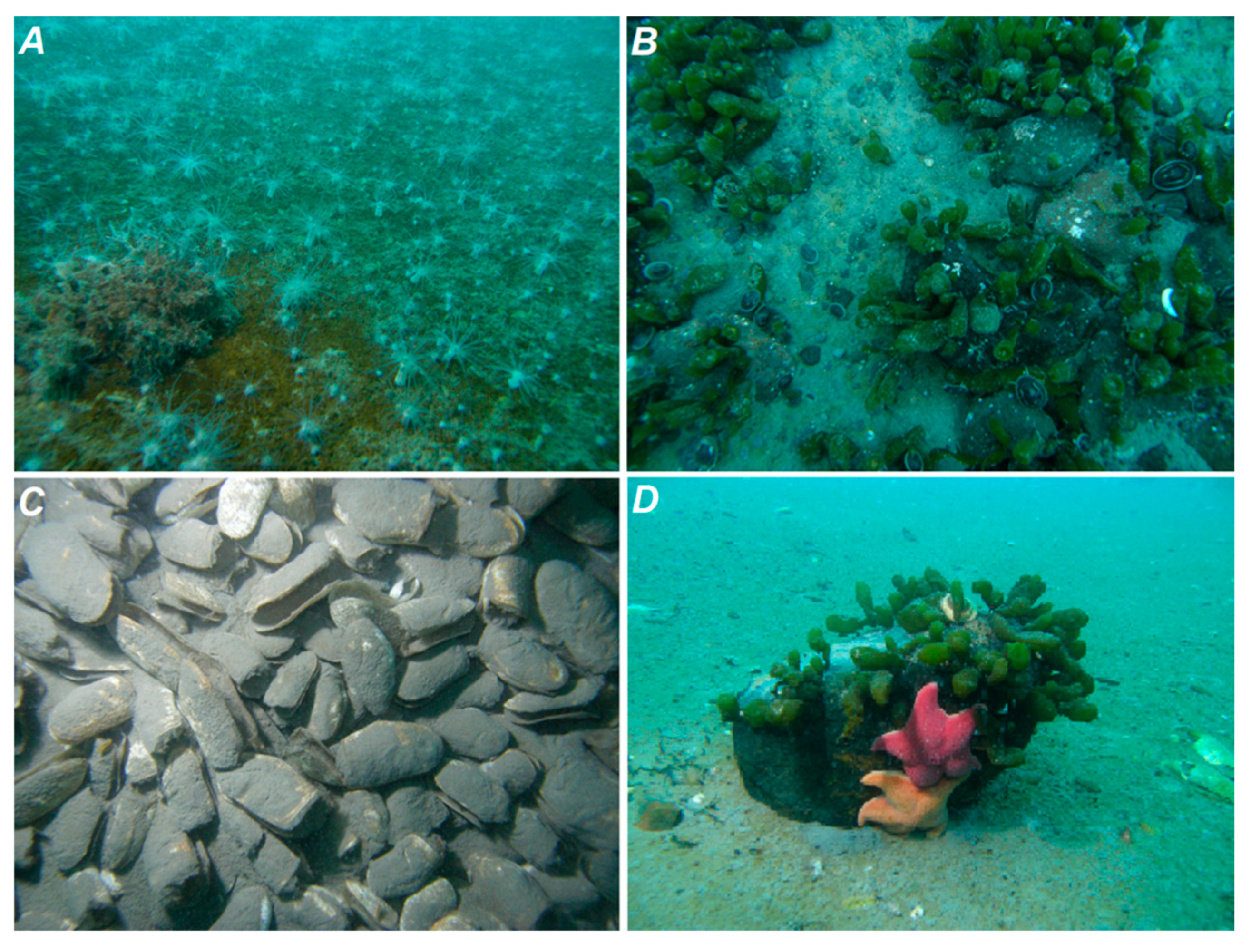 Jmse 07 00285 g003 Jmse 07 00285 g003