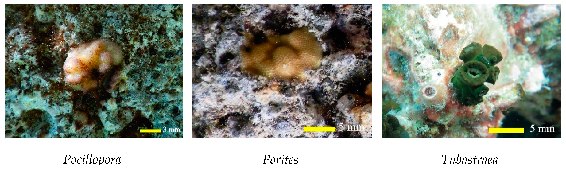 Jmse 07 00408 g013