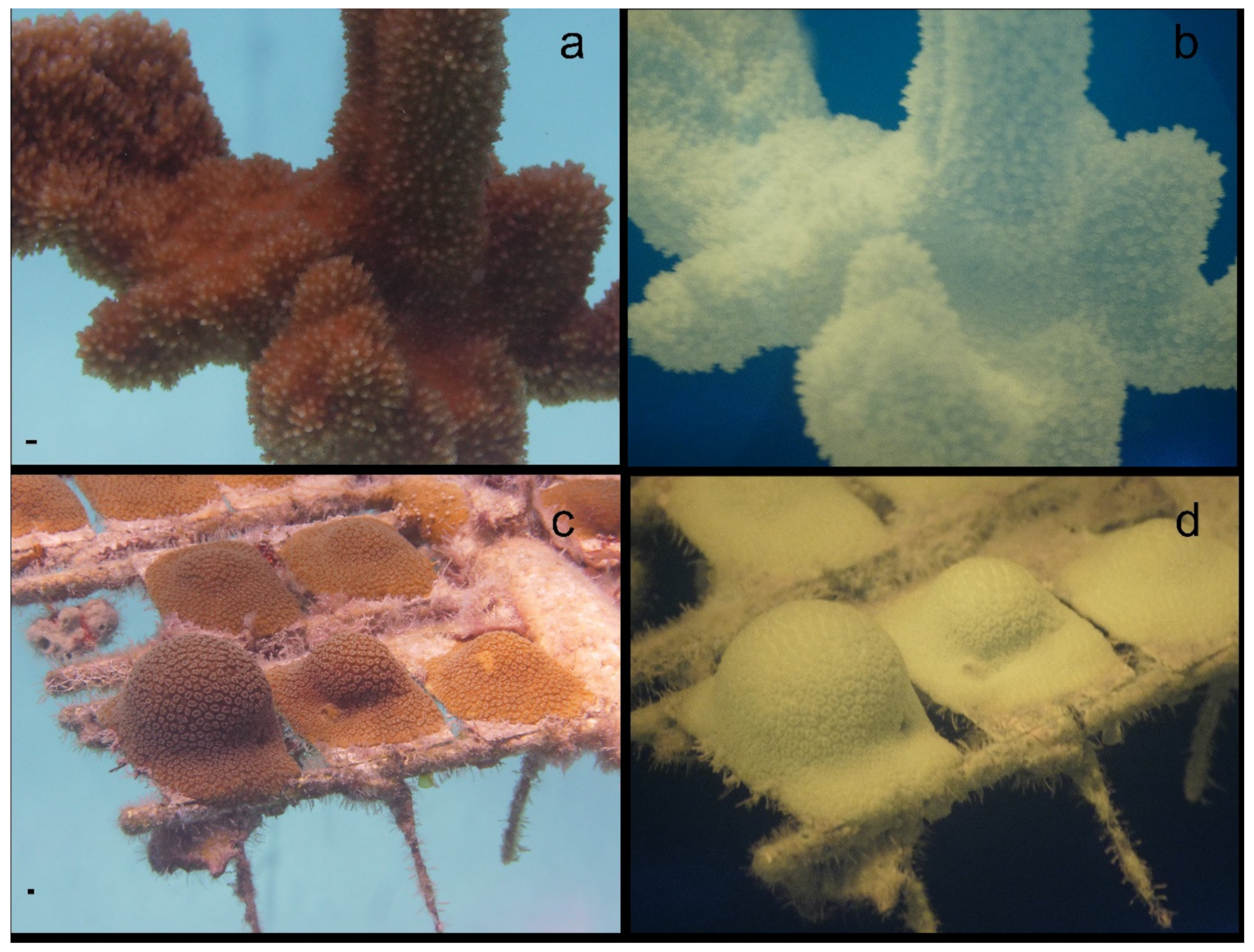 Jmse 08 00053 g005 Jmse 08 00053 g005