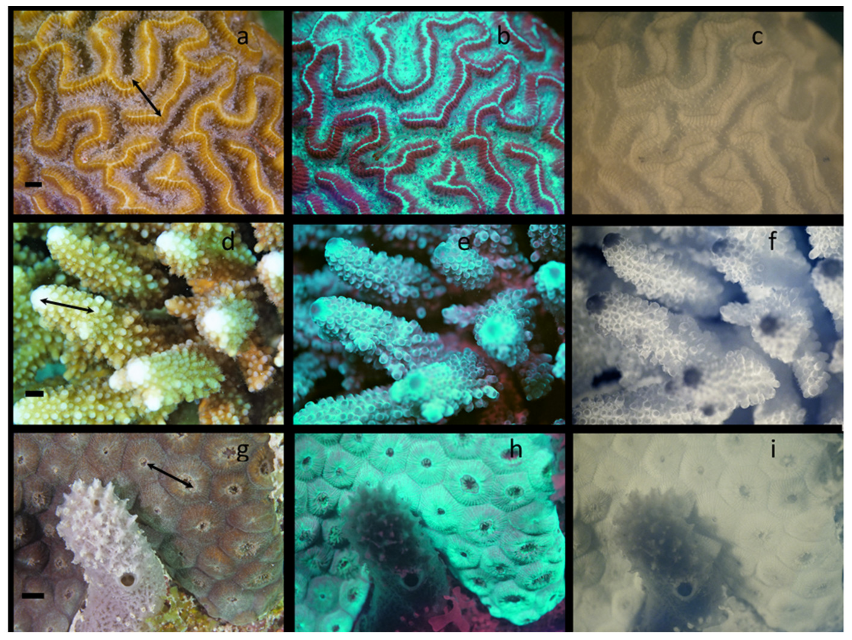 Jmse 08 00053 g006 Jmse 08 00053 g006