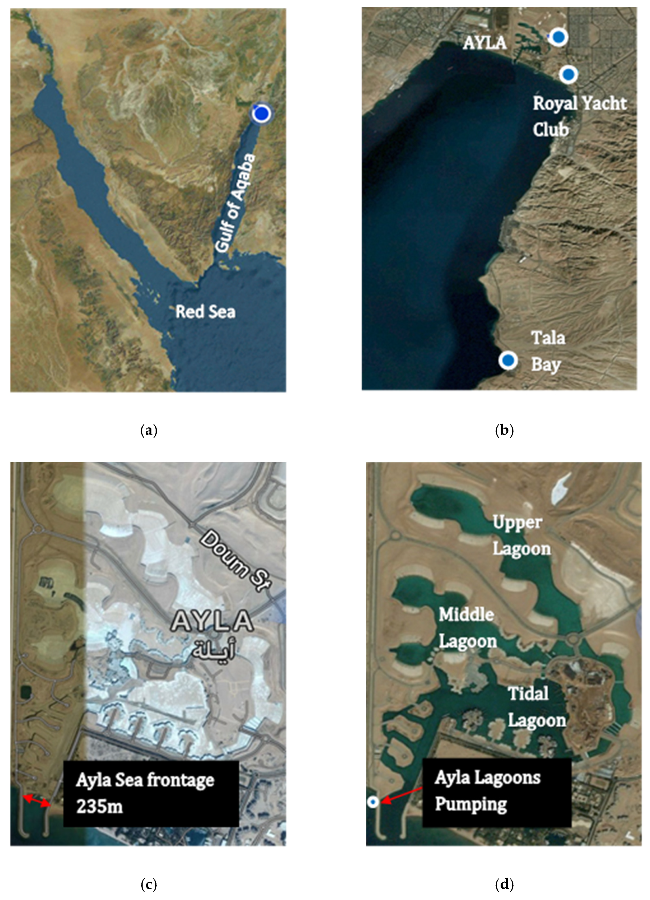 Jmse 08 00147 g001 Jmse 08 00147 g001