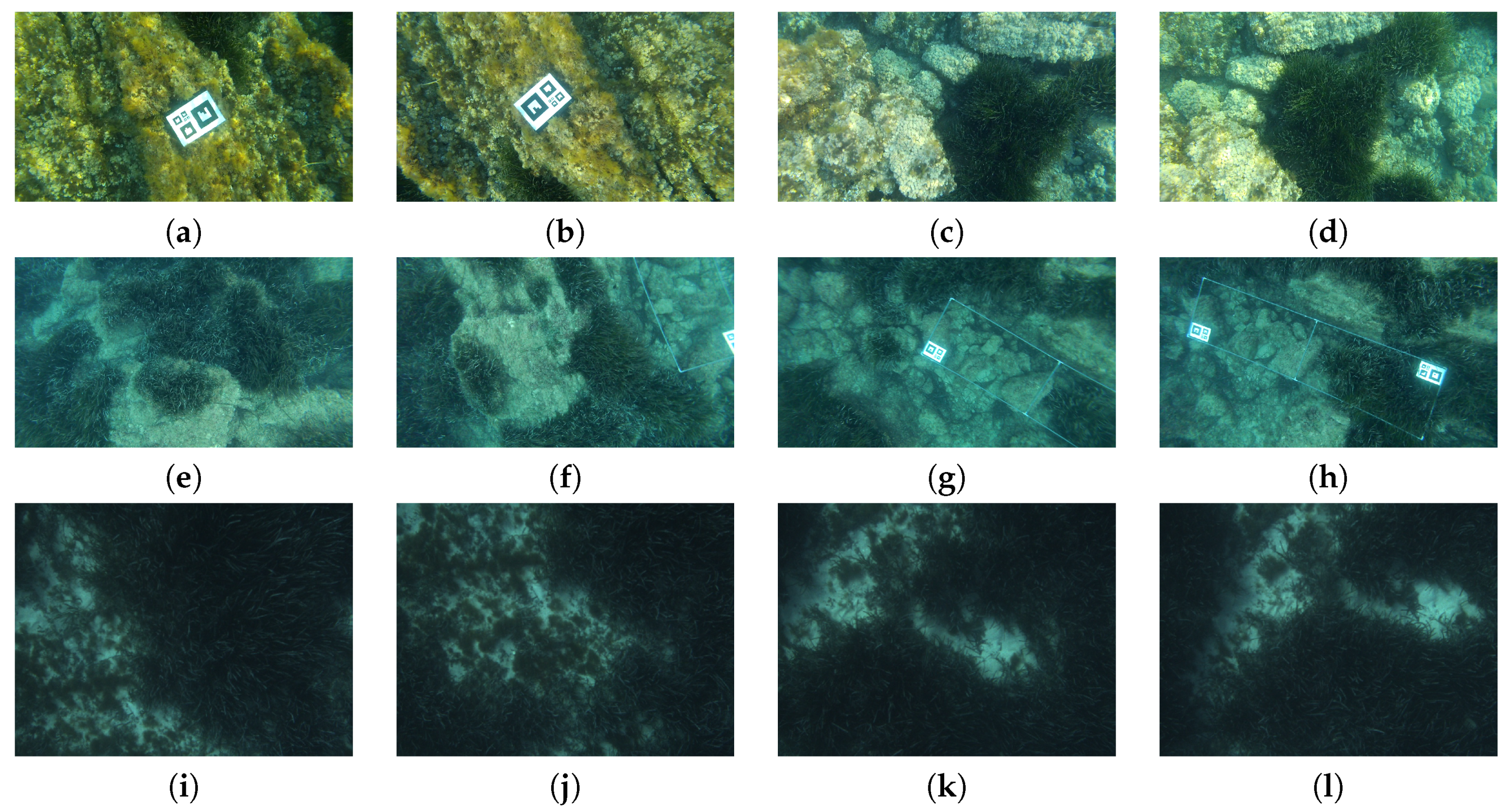 Jmse 08 00437 g005 Jmse 08 00437 g005