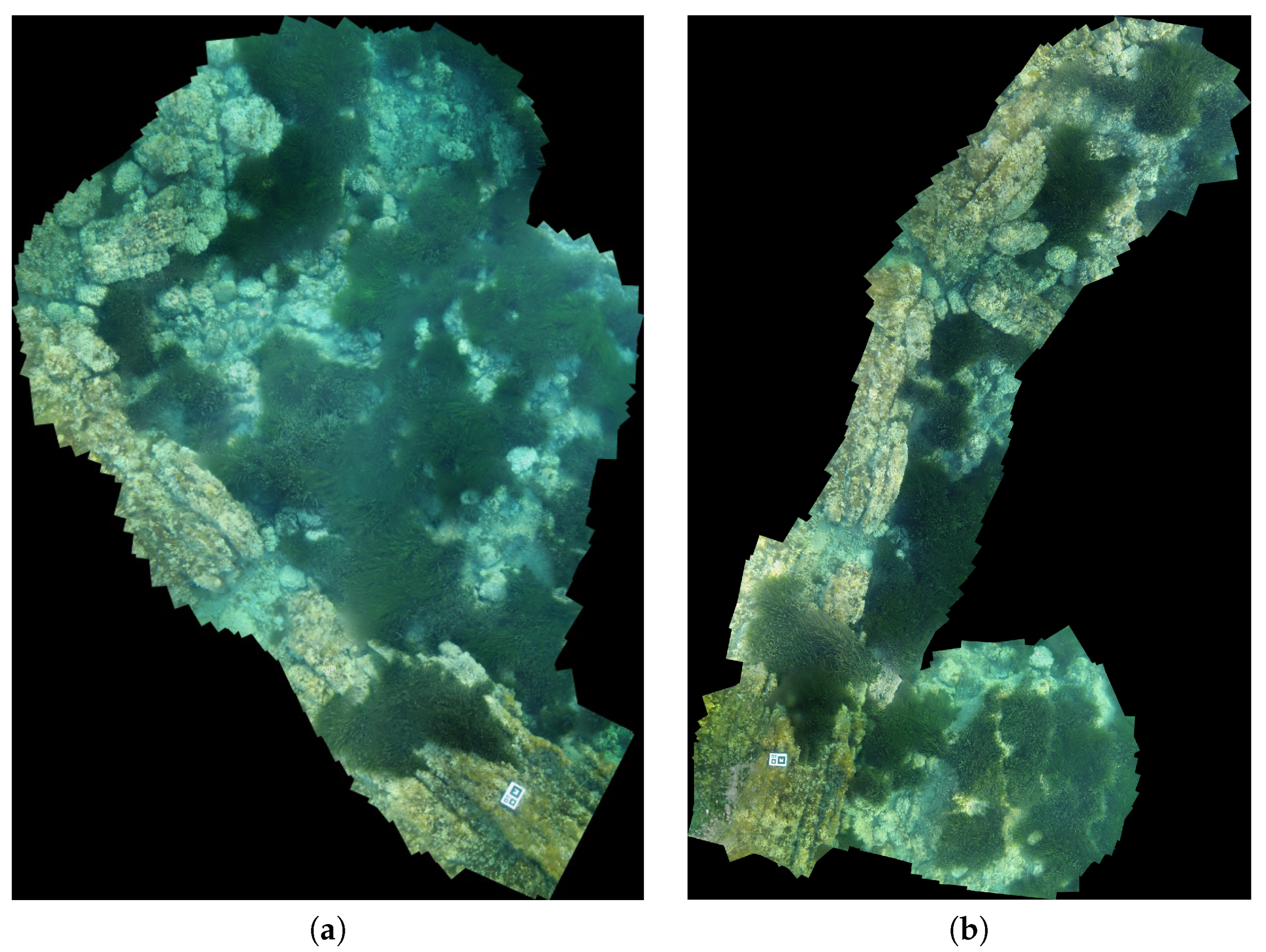 Jmse 08 00437 g007 Jmse 08 00437 g007