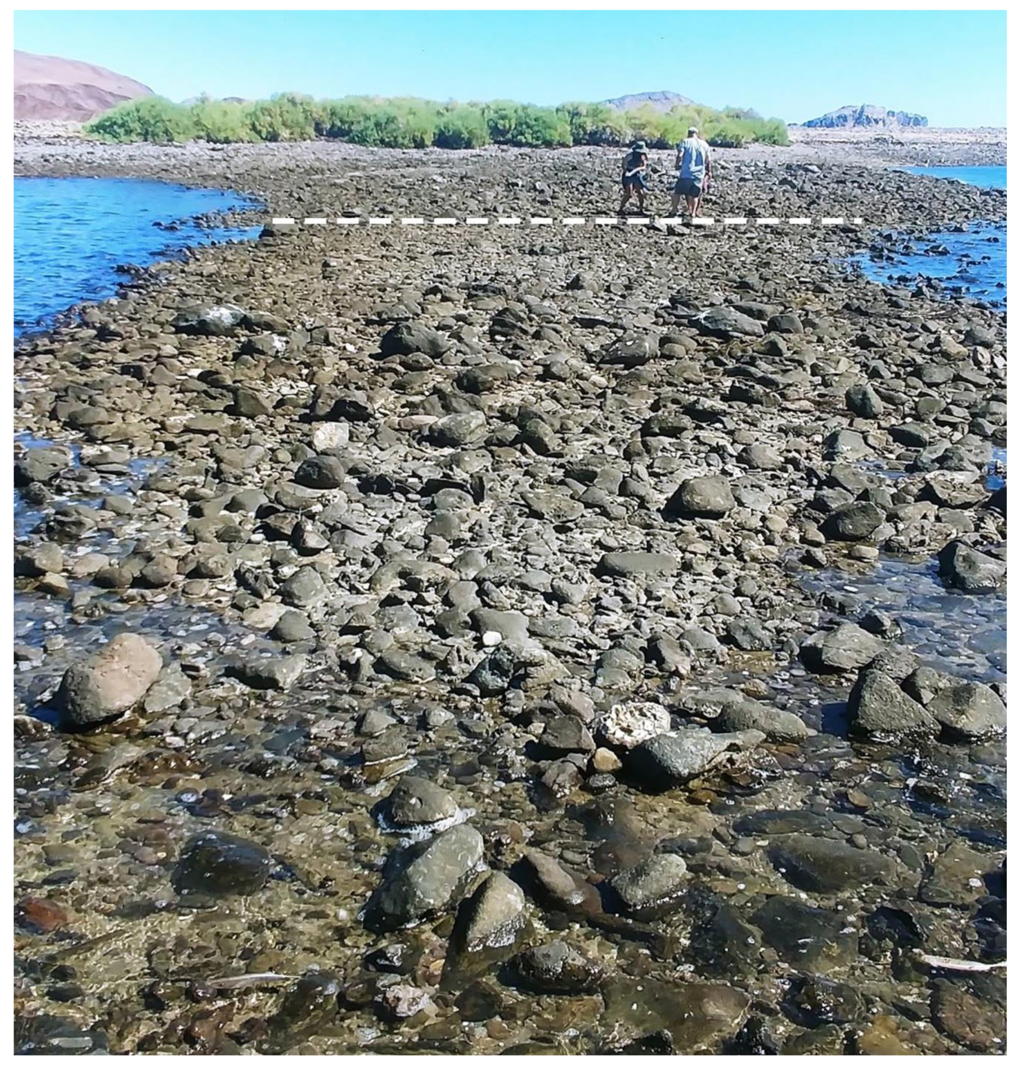 Jmse 08 00525 g007 Jmse 08 00525 g007